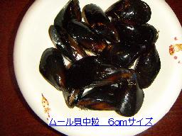 mussel6cm50k