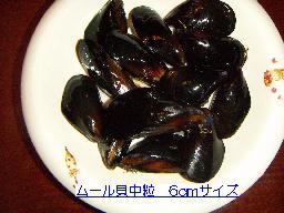 mussel6cm50k